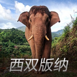 “使劲活，好好活”